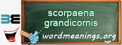 WordMeaning blackboard for scorpaena grandicornis